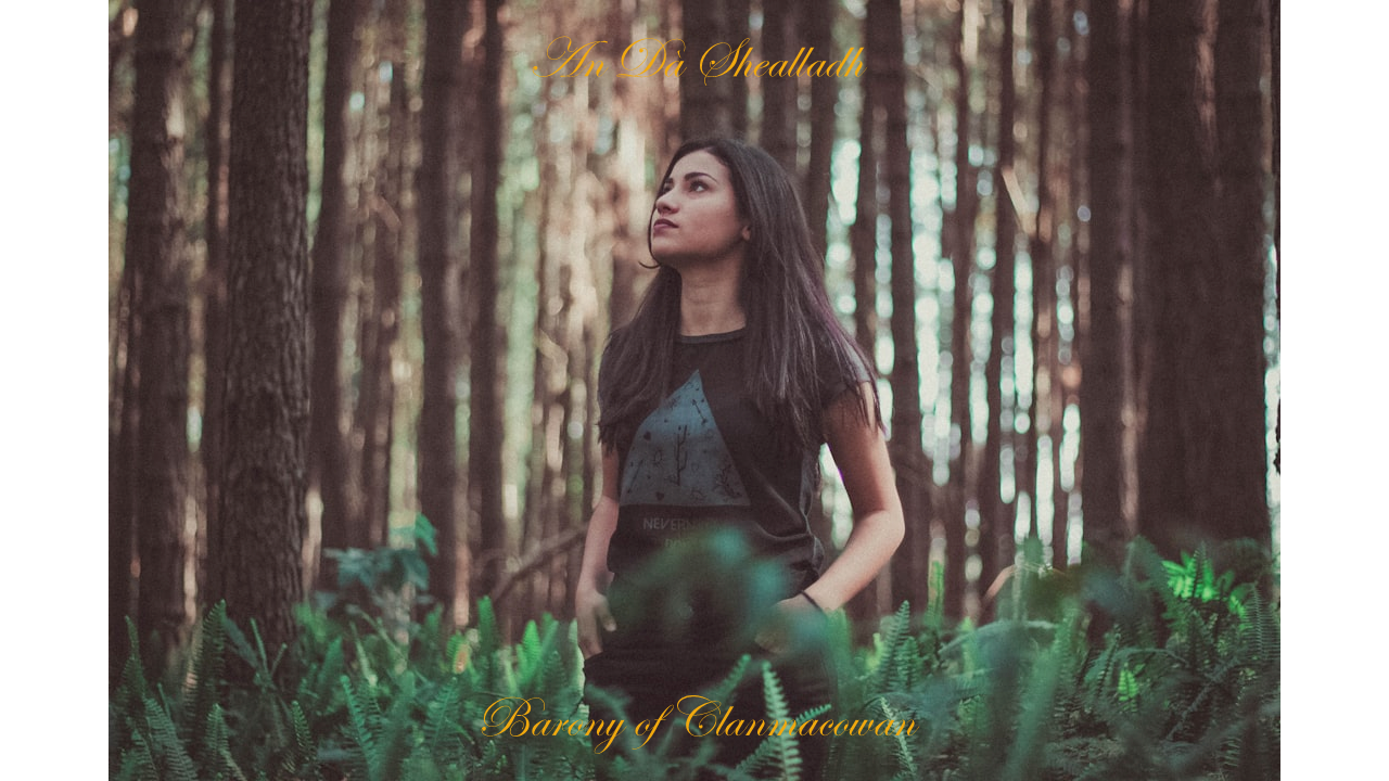 An da shealladh - How it works, Barony of Clanmacowan, Galway, Ireland