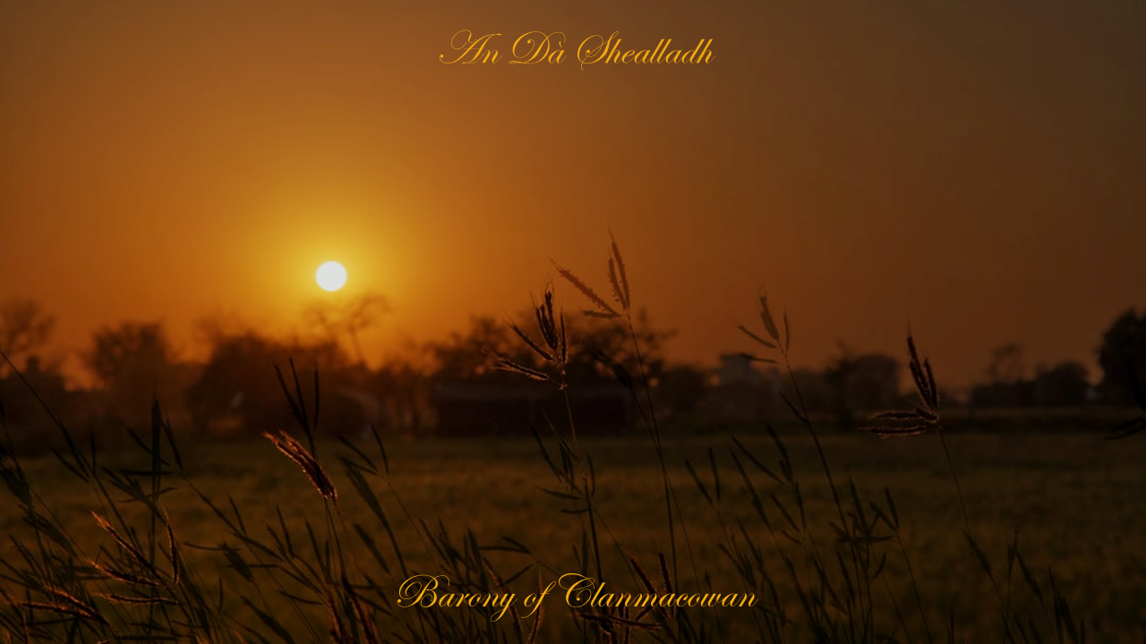 Field, Barony of Clanmacowan, Galway, Ireland, an da shealladh