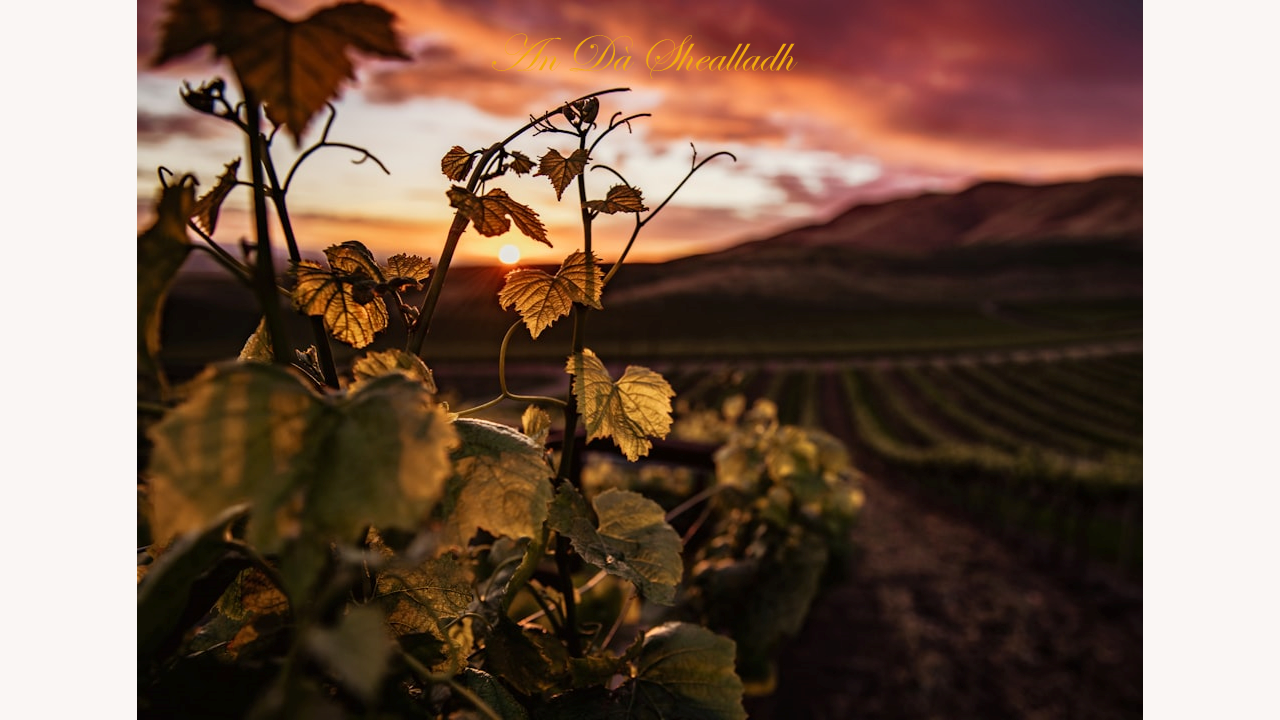 The vineyard, The romantic Barony of Clanmacowan