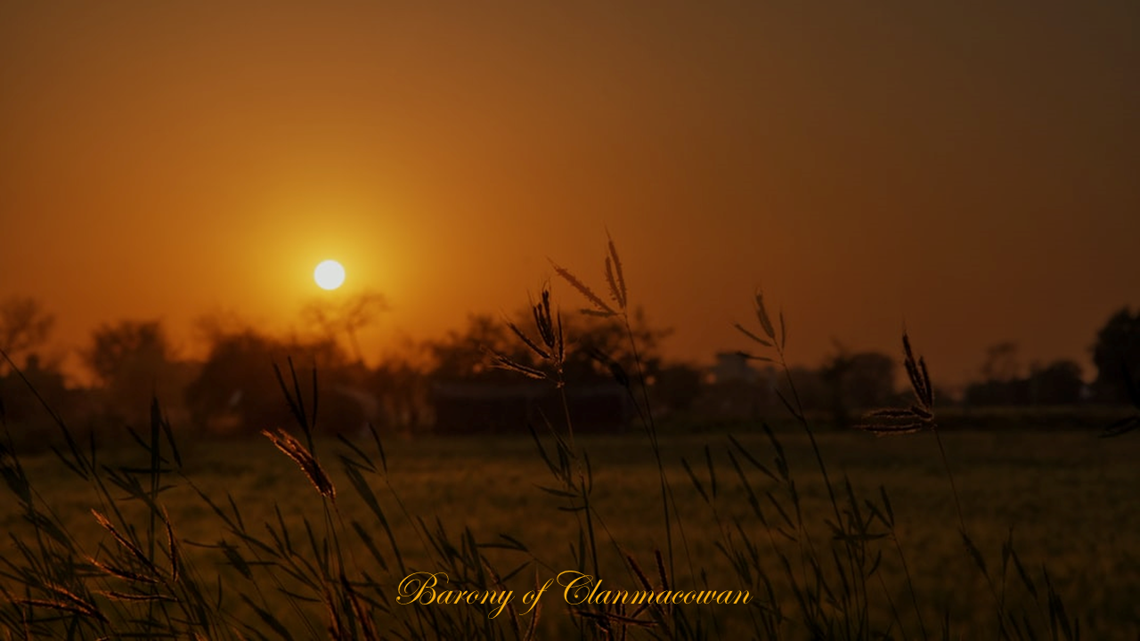 Field, Barony of Clanmacowan, Galway, Ireland, an da shealladh